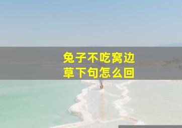 兔子不吃窝边草下句怎么回