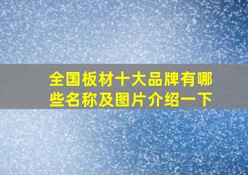 全国板材十大品牌有哪些名称及图片介绍一下