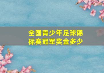 全国青少年足球锦标赛冠军奖金多少