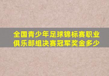 全国青少年足球锦标赛职业俱乐部组决赛冠军奖金多少