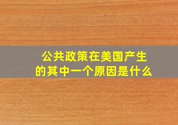 公共政策在美国产生的其中一个原因是什么