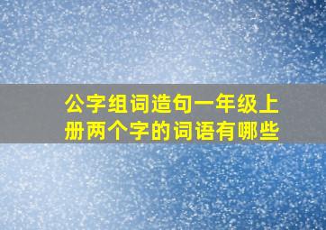 公字组词造句一年级上册两个字的词语有哪些