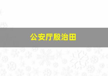 公安厅殷治田