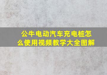 公牛电动汽车充电桩怎么使用视频教学大全图解