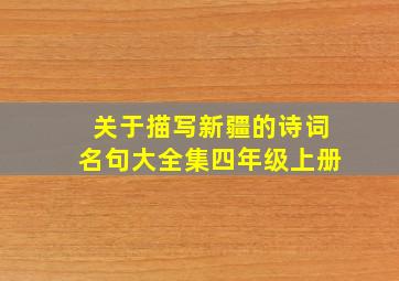 关于描写新疆的诗词名句大全集四年级上册