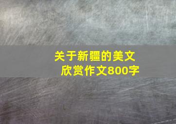 关于新疆的美文欣赏作文800字