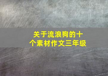 关于流浪狗的十个素材作文三年级