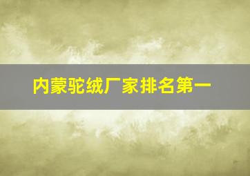 内蒙驼绒厂家排名第一