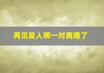 再见爱人哪一对离婚了