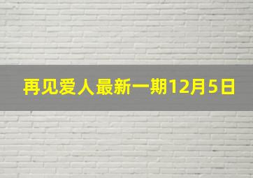 再见爱人最新一期12月5日