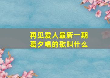 再见爱人最新一期葛夕唱的歌叫什么