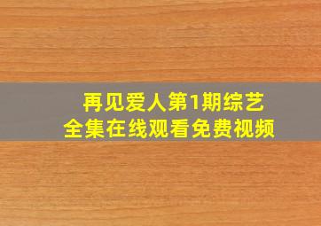 再见爱人第1期综艺全集在线观看免费视频