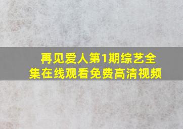 再见爱人第1期综艺全集在线观看免费高清视频