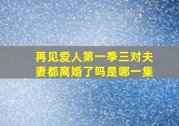 再见爱人第一季三对夫妻都离婚了吗是哪一集