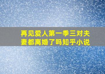 再见爱人第一季三对夫妻都离婚了吗知乎小说