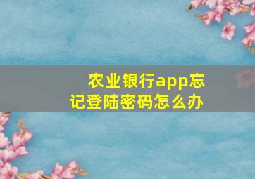 农业银行app忘记登陆密码怎么办