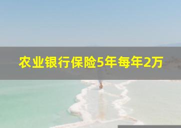 农业银行保险5年每年2万