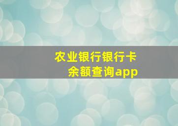 农业银行银行卡余额查询app