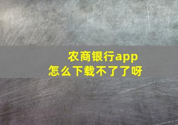 农商银行app怎么下载不了了呀