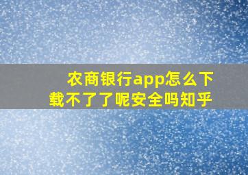 农商银行app怎么下载不了了呢安全吗知乎