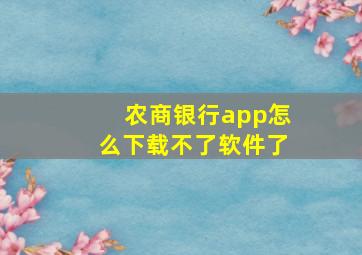 农商银行app怎么下载不了软件了