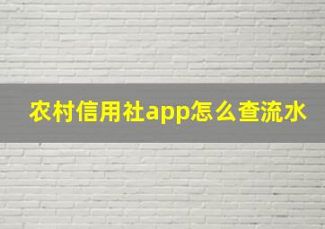 农村信用社app怎么查流水