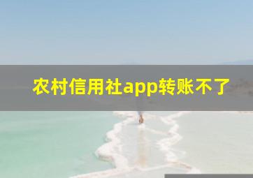 农村信用社app转账不了