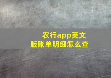 农行app英文版账单明细怎么查