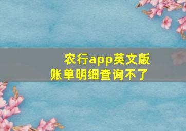 农行app英文版账单明细查询不了