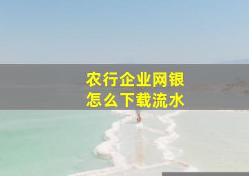 农行企业网银怎么下载流水