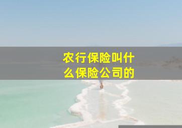 农行保险叫什么保险公司的