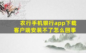 农行手机银行app下载客户端安装不了怎么回事