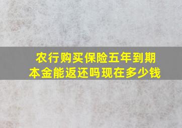 农行购买保险五年到期本金能返还吗现在多少钱