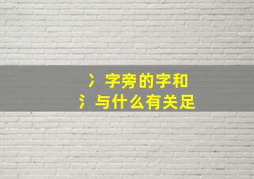 冫字旁的字和氵与什么有关足