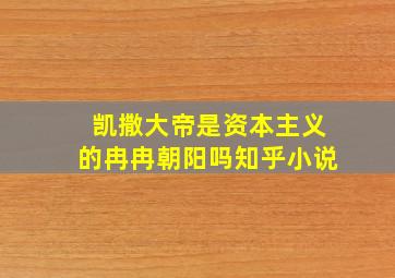 凯撒大帝是资本主义的冉冉朝阳吗知乎小说