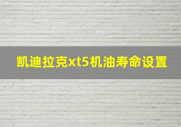 凯迪拉克xt5机油寿命设置