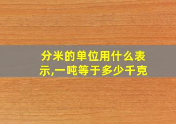 分米的单位用什么表示,一吨等于多少千克