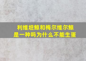 利维坦鲸和梅尔维尔鲸是一种吗为什么不能生蛋