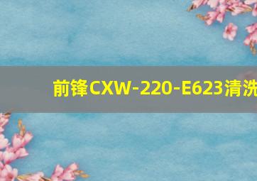 前锋CXW-220-E623清洗