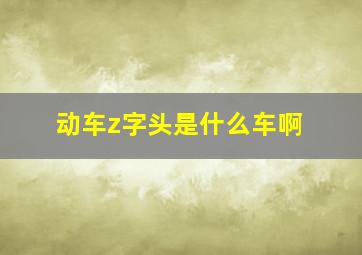 动车z字头是什么车啊