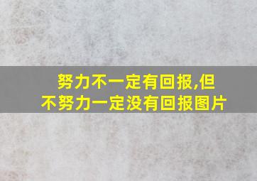 努力不一定有回报,但不努力一定没有回报图片