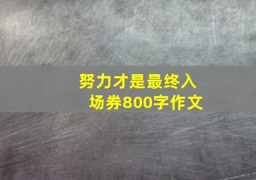 努力才是最终入场券800字作文