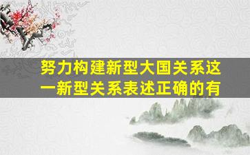 努力构建新型大国关系这一新型关系表述正确的有