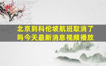 北京到科伦坡航班取消了吗今天最新消息视频播放