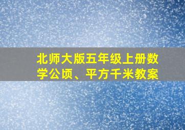 北师大版五年级上册数学公顷、平方千米教案