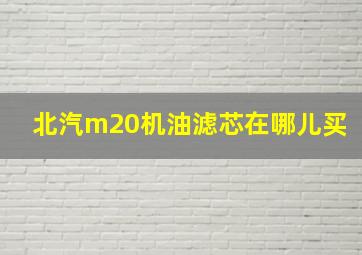 北汽m20机油滤芯在哪儿买