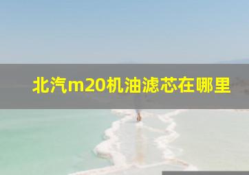 北汽m20机油滤芯在哪里