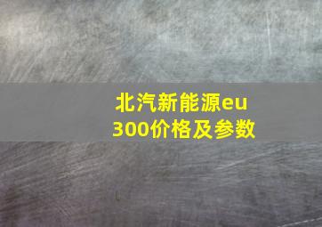 北汽新能源eu300价格及参数