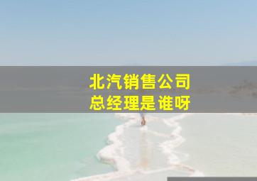 北汽销售公司总经理是谁呀