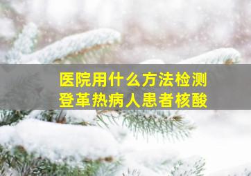 医院用什么方法检测登革热病人患者核酸